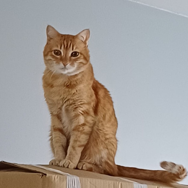 Photo de Tito