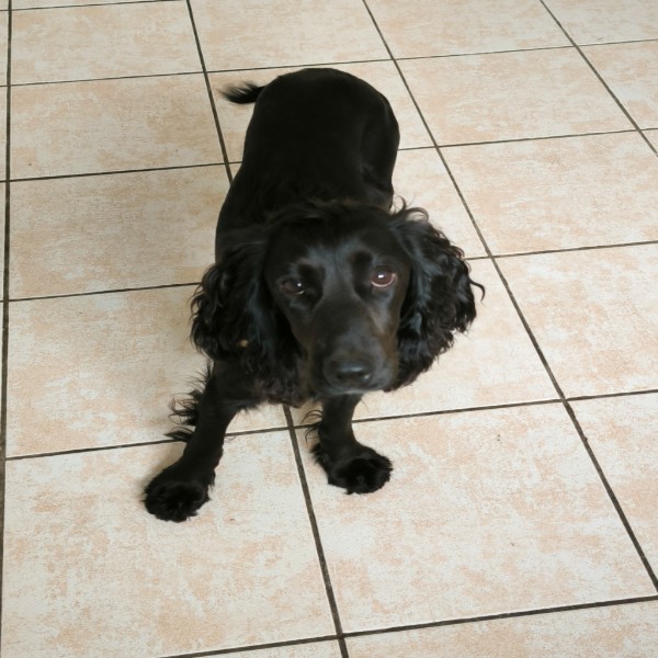 Vicky
