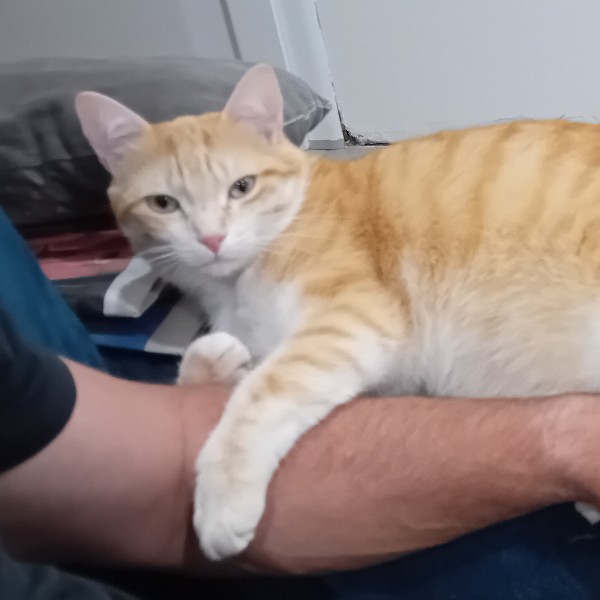 Photo de P'titchat