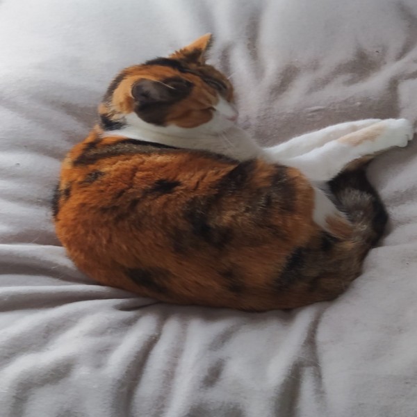 Photo de Fidji