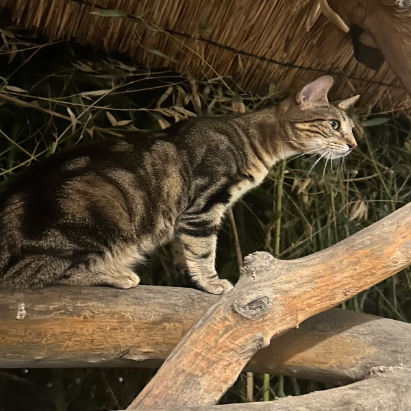 Photo de Zoe