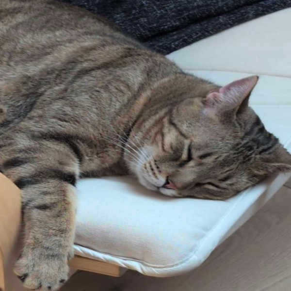 Photo de Vador