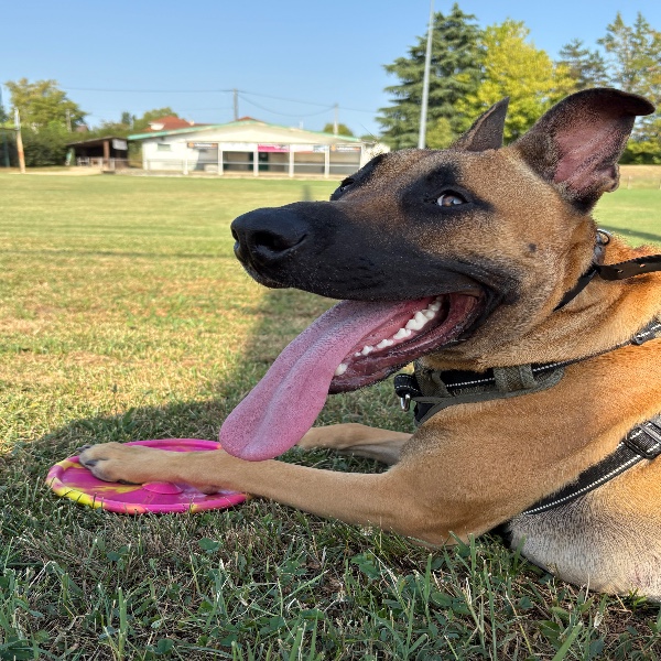 Photo de Kobe