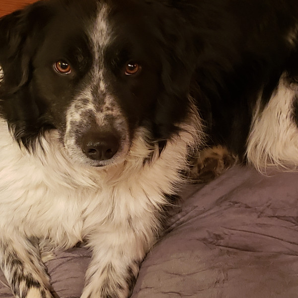 Photo de Titan