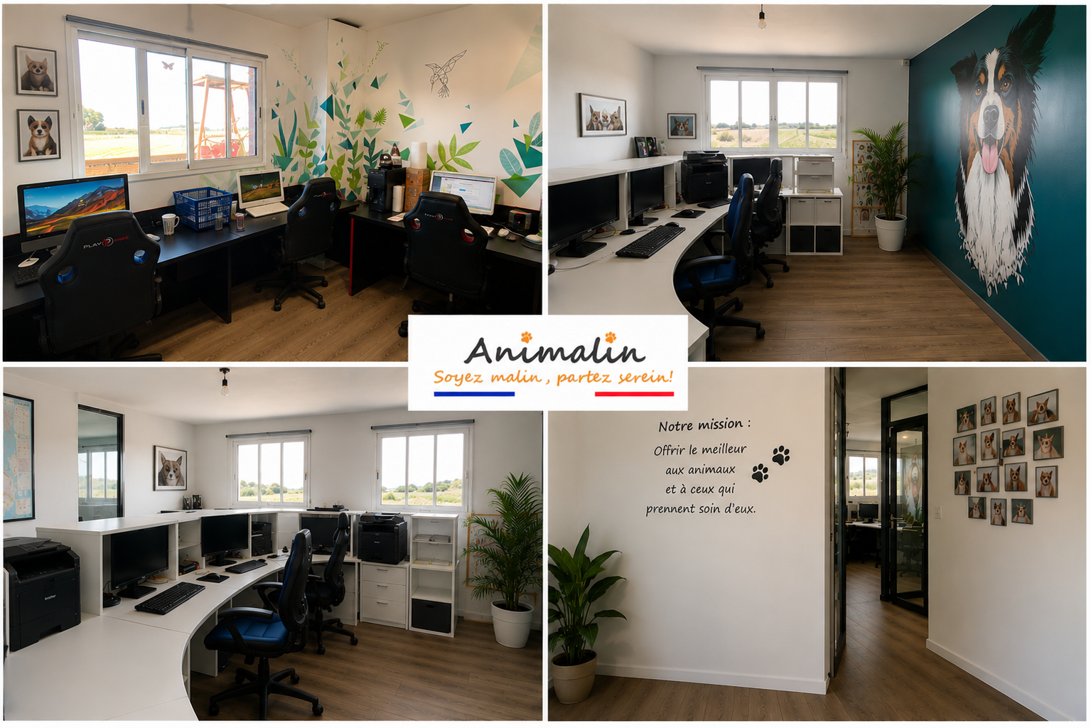 🐾 L'histoire d'Animalin : 19 ans d'une aventure née d'une simple idée