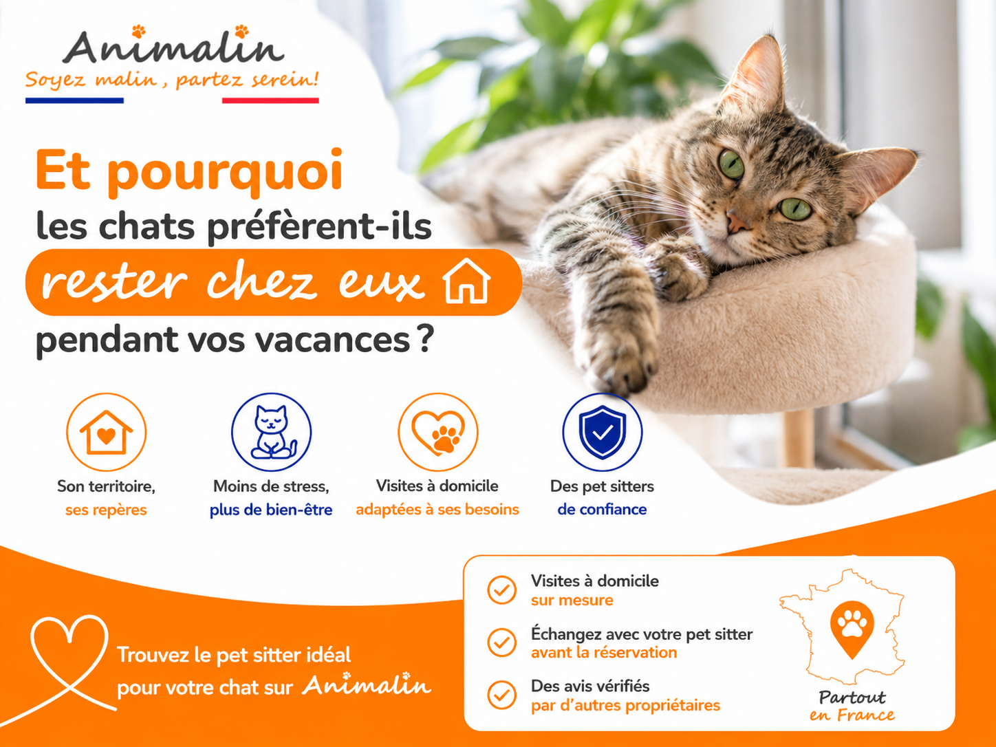 🐱 Et pourquoi les chats préfèrent-ils rester chez eux pendant vos vacances ?