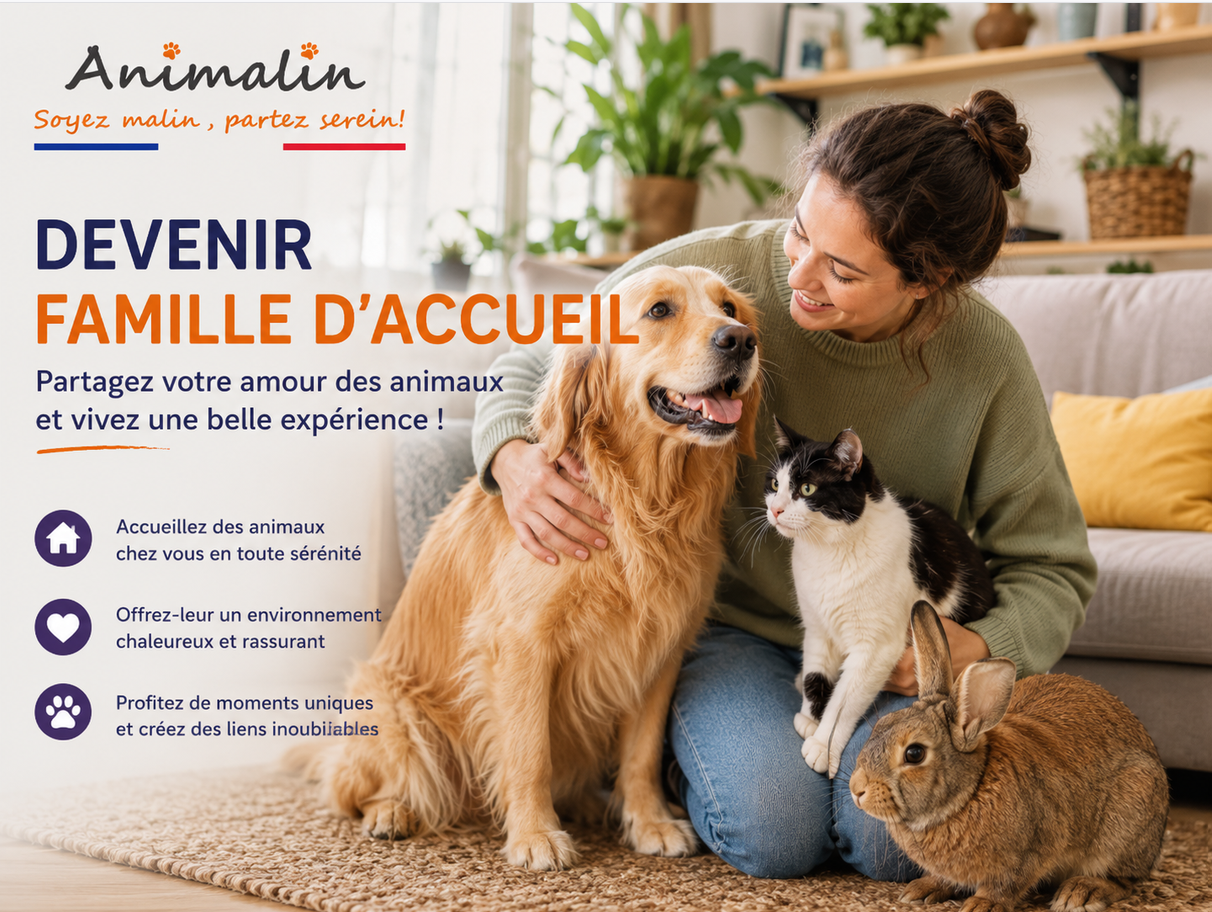 🏡 Devenir famille d'accueil sur Animalin : accueillez des animaux chez vous et vivez une belle expérience