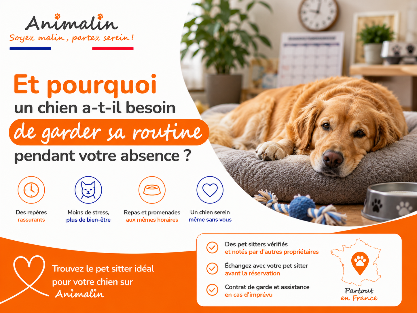 🐾 Et pourquoi un chien a-t-il besoin de garder sa routine pendant votre absence ?