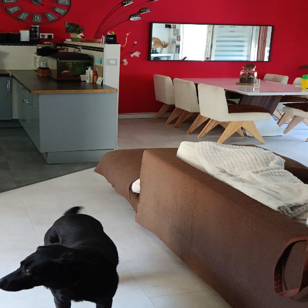 Photo du logement