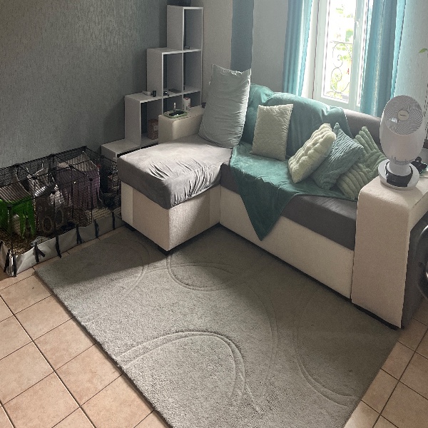 Photo du logement