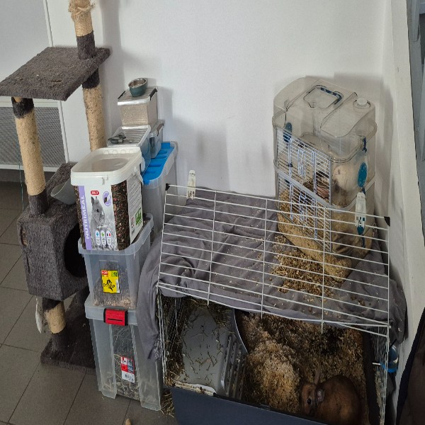 Photo du logement