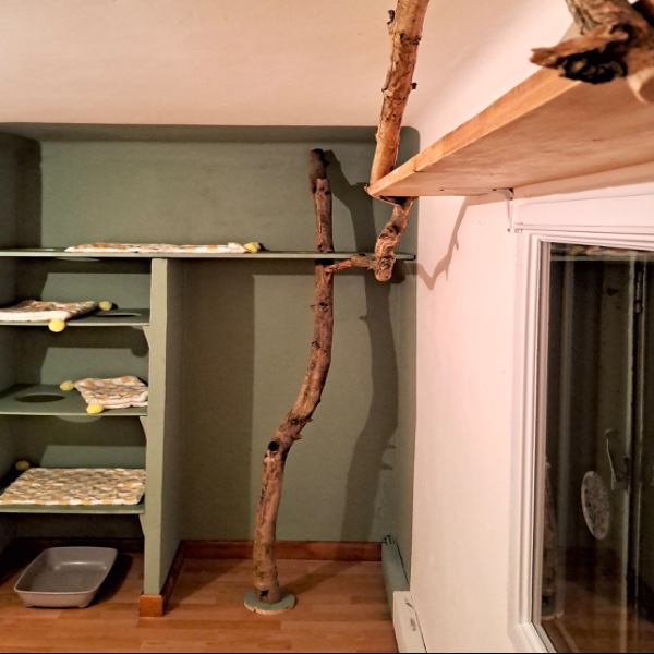 Photo du logement