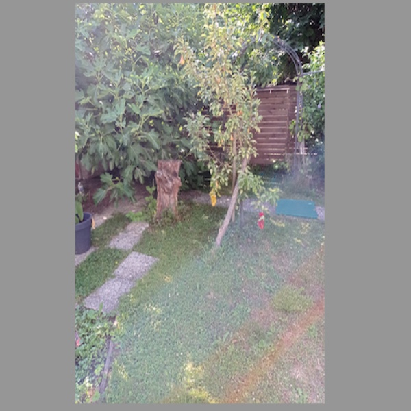 Photo du logement