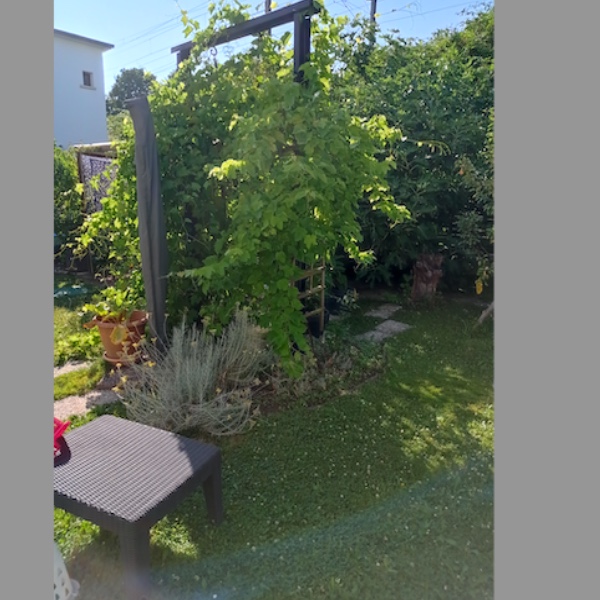 Photo du logement