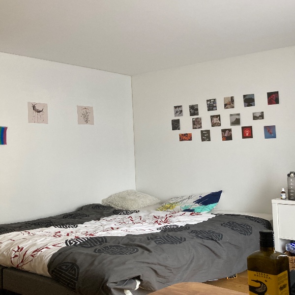 Photo du logement