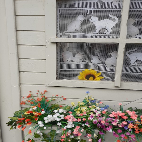 Photo du logement
