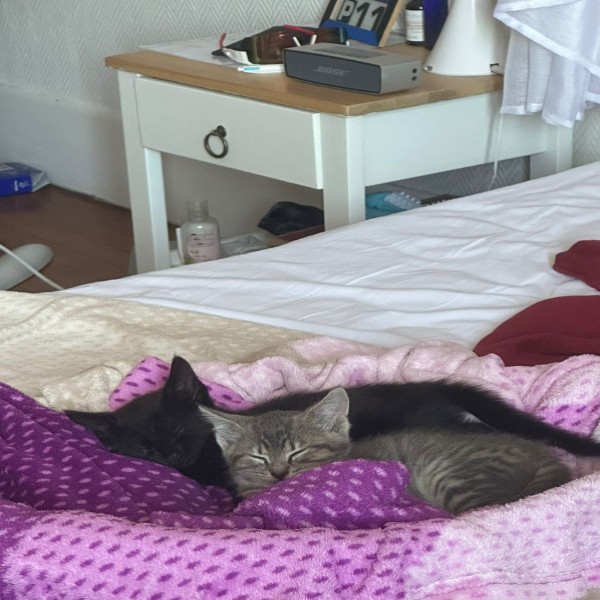 Photo du logement