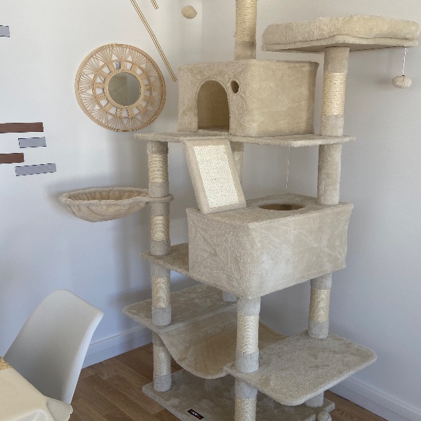 Photo du logement