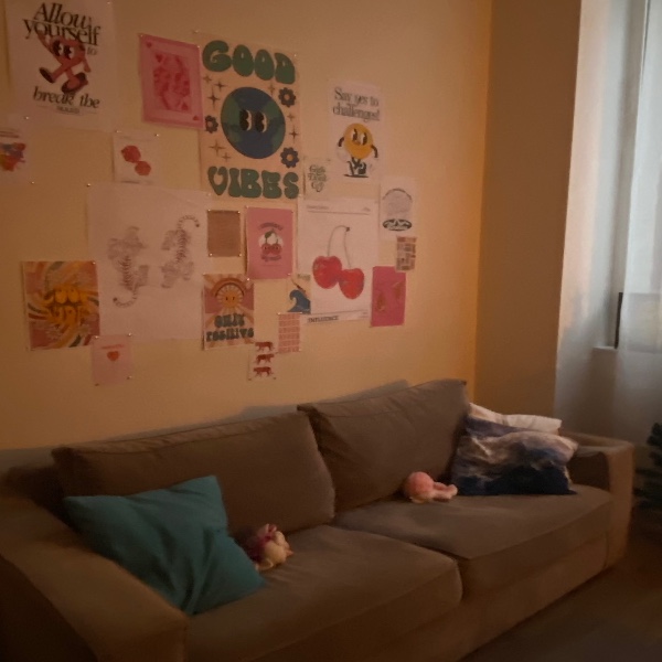 Photo du logement