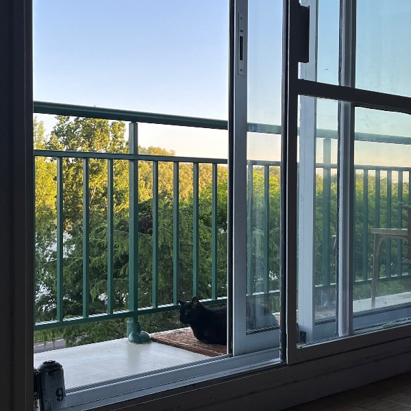 Photo du logement