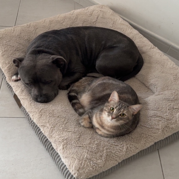 Photo du logement