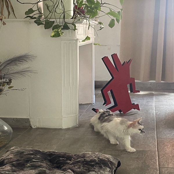 Photo du logement