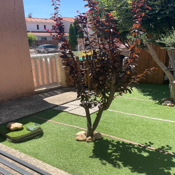 Photo du logement