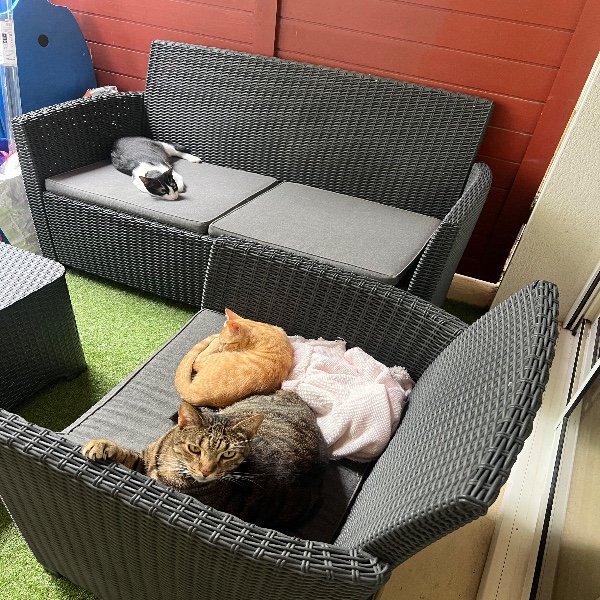 Photo du logement