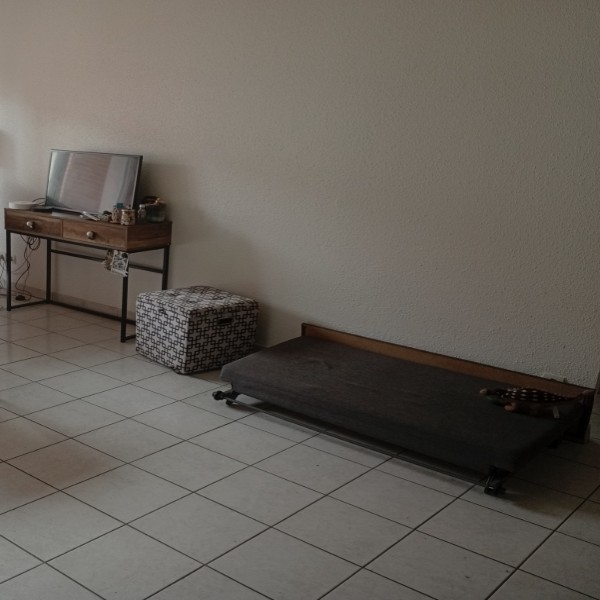 Photo du logement