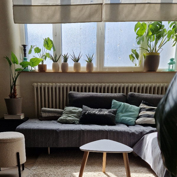 Photo du logement