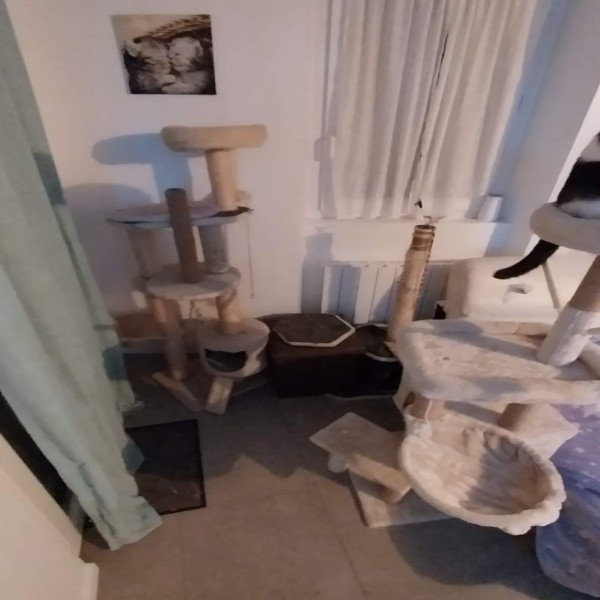 Photo du logement