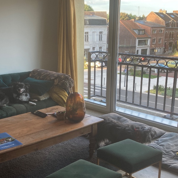 Photo du logement