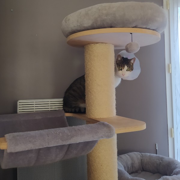 Photo du logement