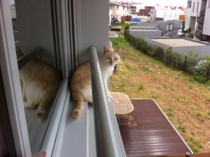 Photo du logement