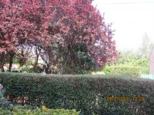 Photo du logement