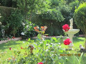Photo du logement