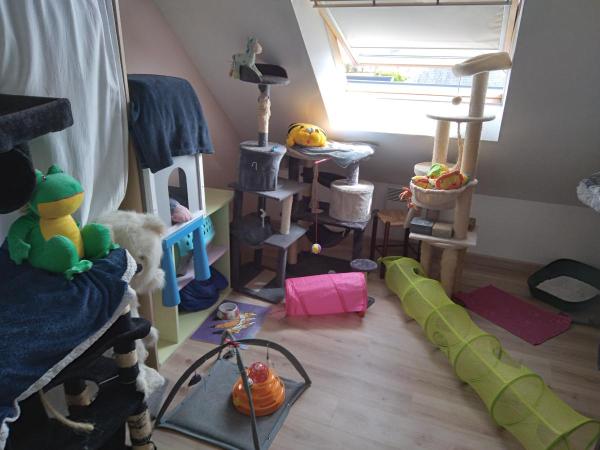 Photo du logement