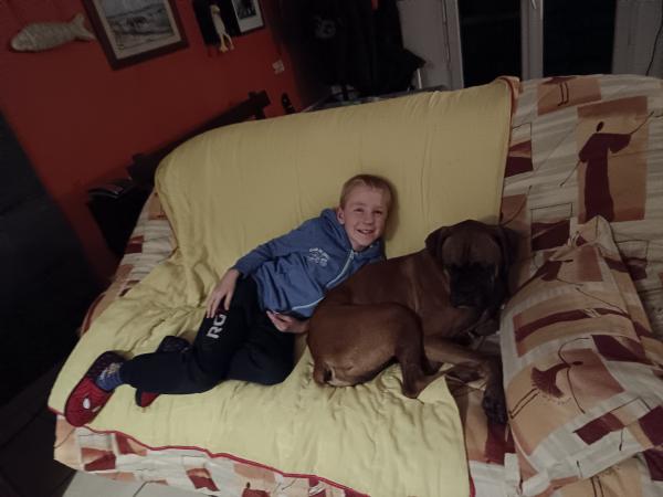 Photo du logement