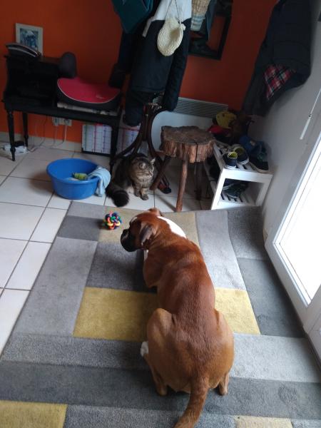 Photo du logement