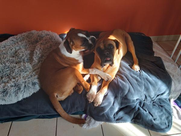 Photo du logement