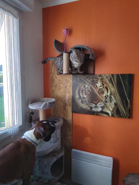 Photo du logement