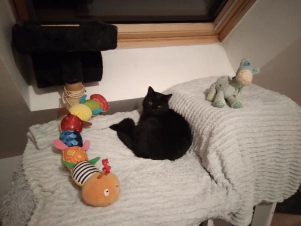 Photo du logement