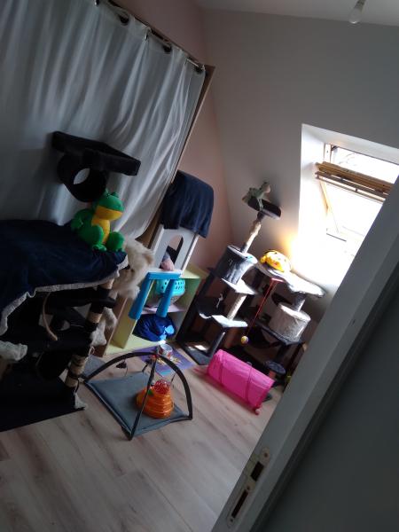 Photo du logement