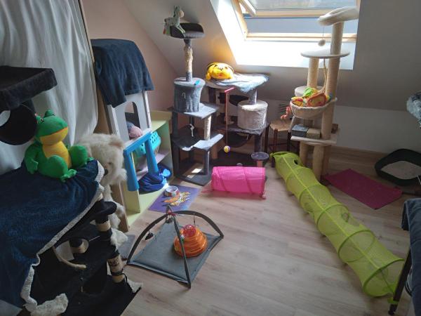 Photo du logement