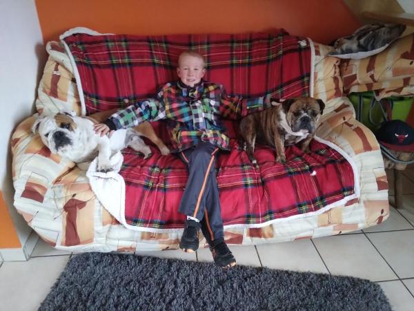 Photo du logement