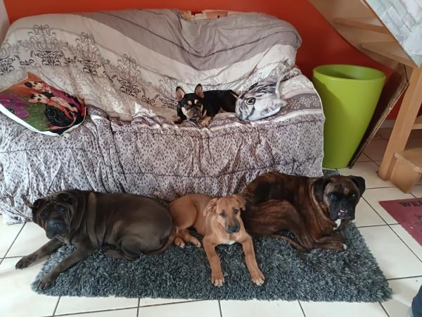 Photo du logement