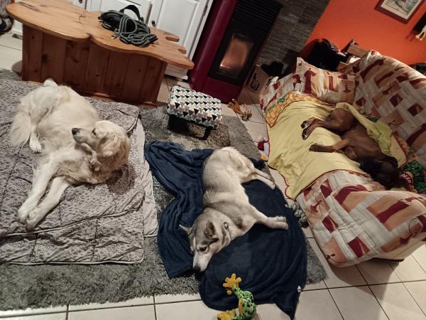 Photo du logement