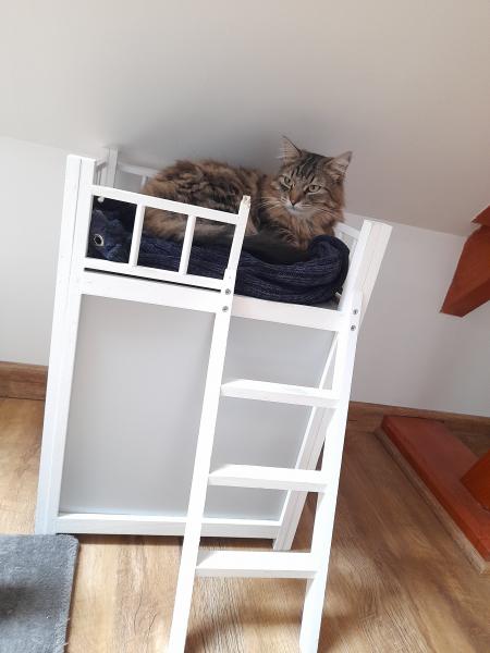 Photo du logement