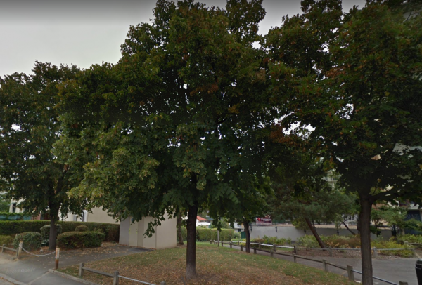 Photo du logement