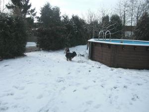 Photo du logement